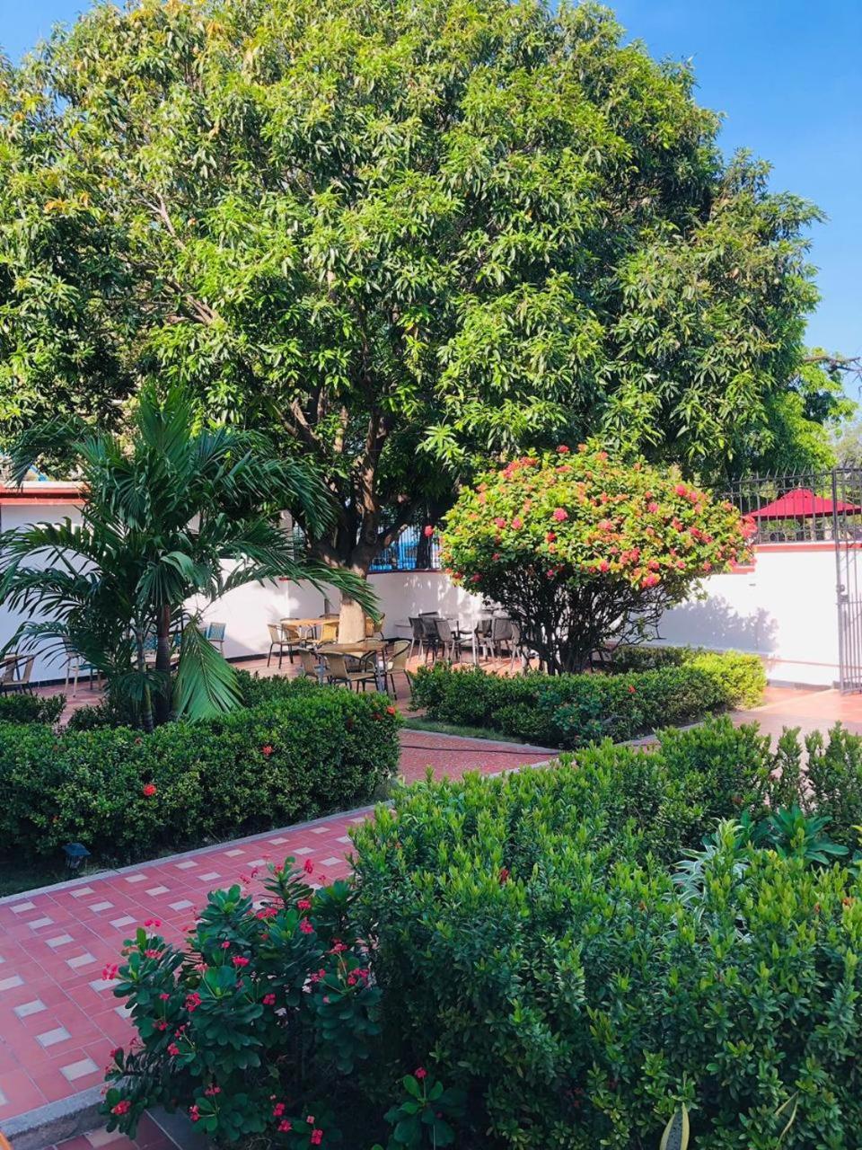 Hotel Casa Bethel ซันตามาร์ตา ภายนอก รูปภาพ