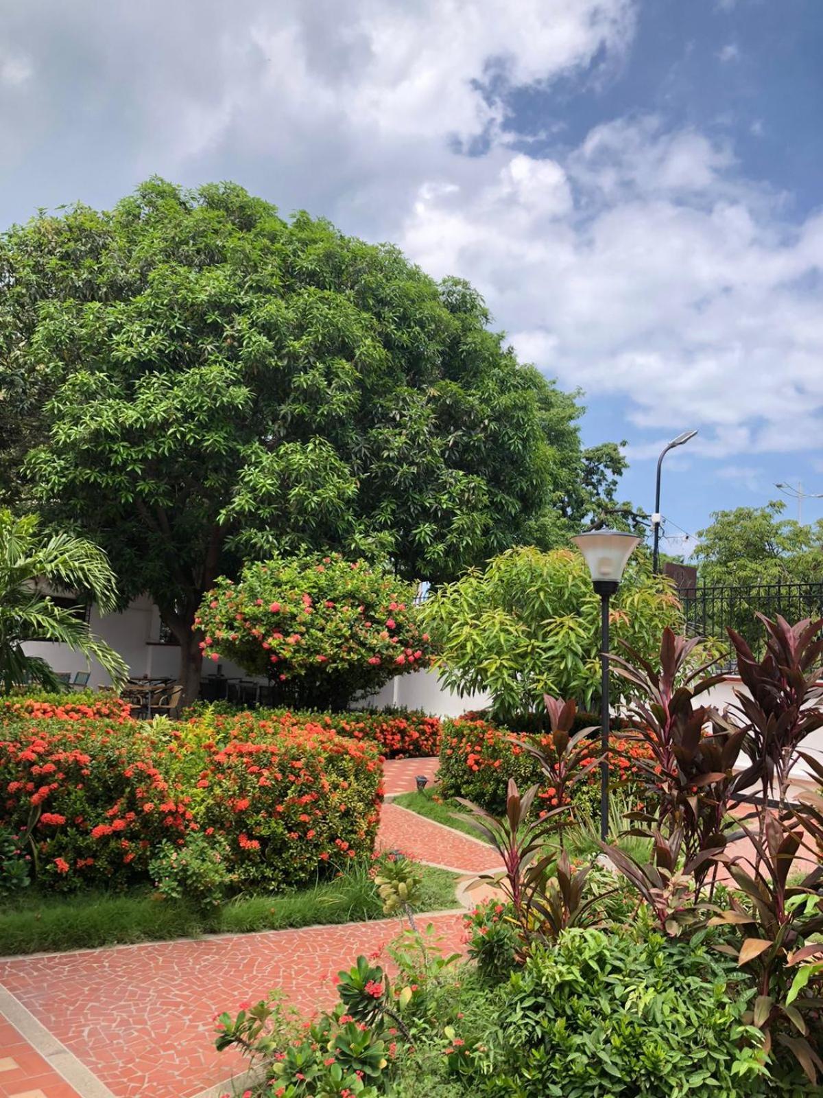 Hotel Casa Bethel ซันตามาร์ตา ภายนอก รูปภาพ